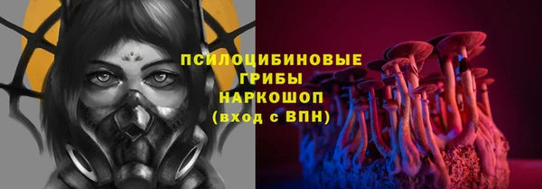 гидропоника Михайлов