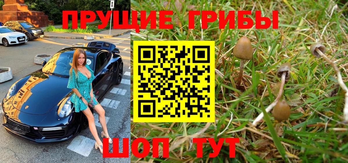 Псилоцибиновые грибы MAGIC MUSHROOMS  Вход с VPN  Галлюциногенные грибы GOLDEN TEACHER  Абакан 